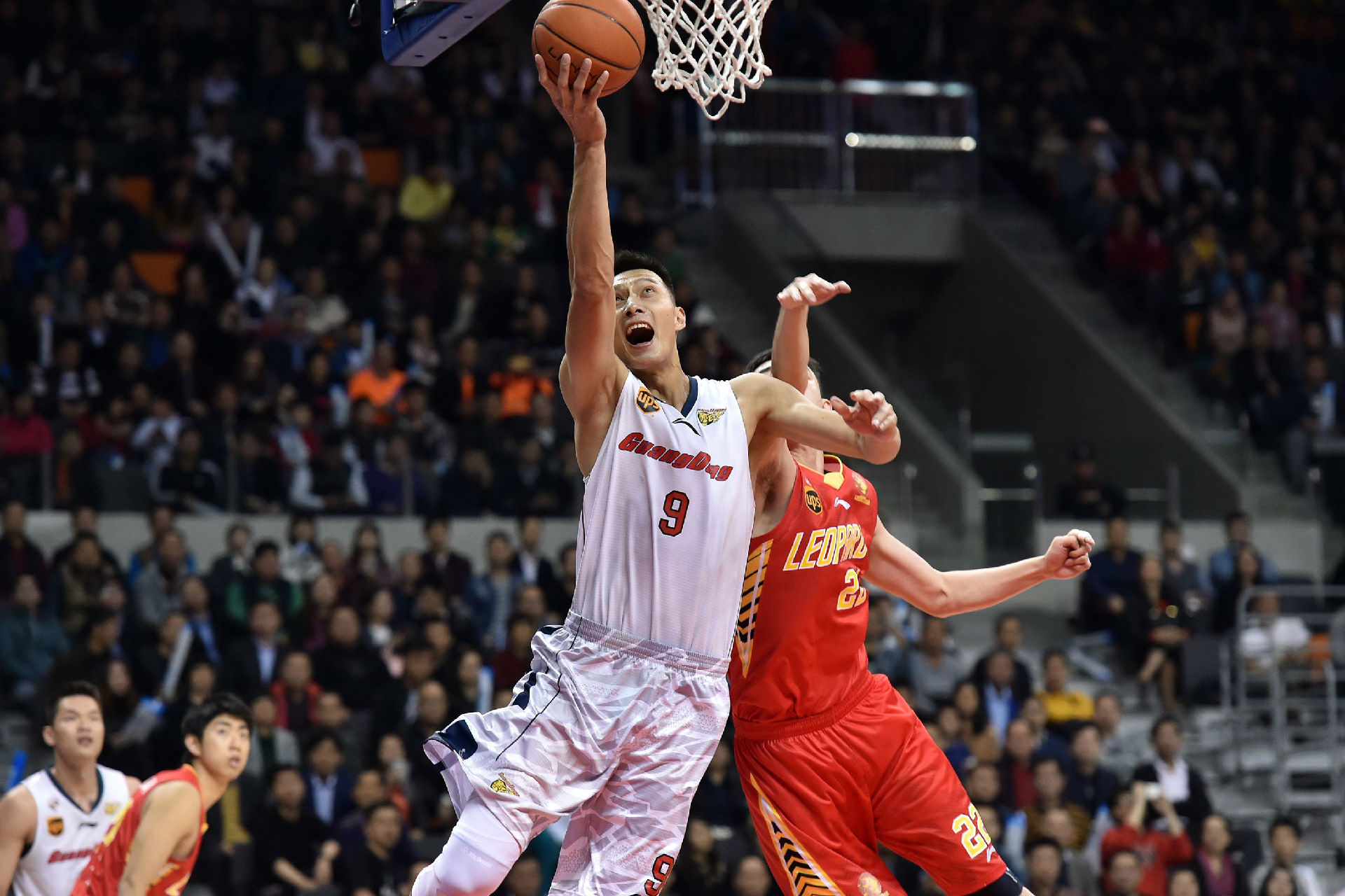 部引入更多 部引入更多