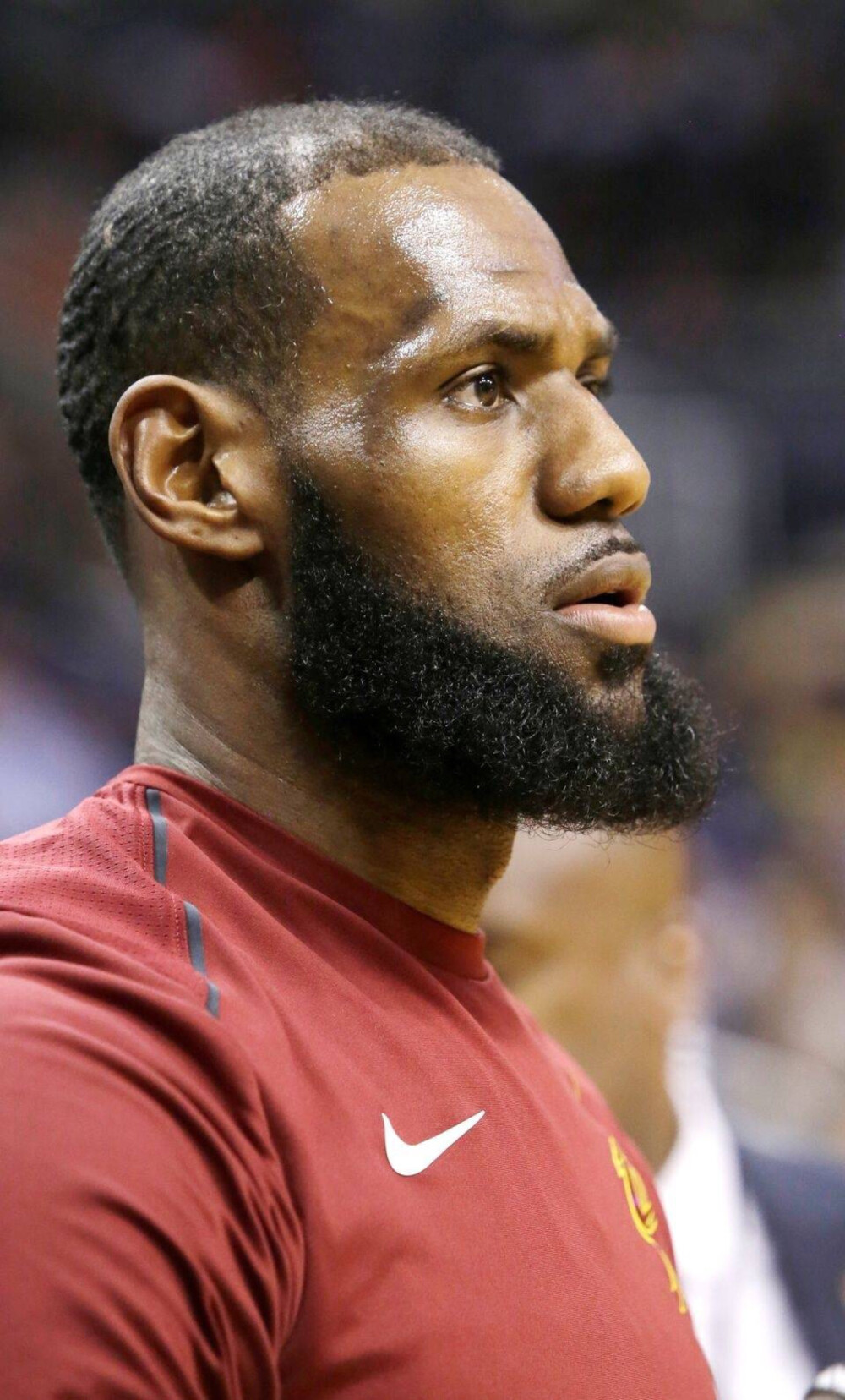 这些要素 这些要素